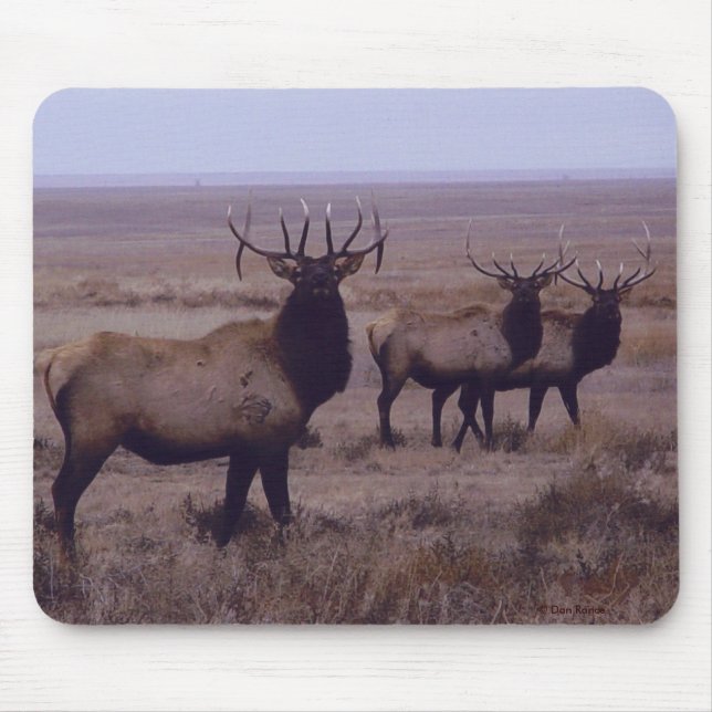 Mousepad Dentes da gota do dobro dos alces de E19 Bull (Frente)