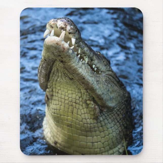 Mousepad Dentes De Crocodilo Água (Frente)