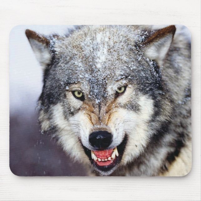Mousepad Dentes do lobo cinzento (Frente)