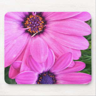 Mousepad Dentro da natureza roxa cor-de-rosa da flor da