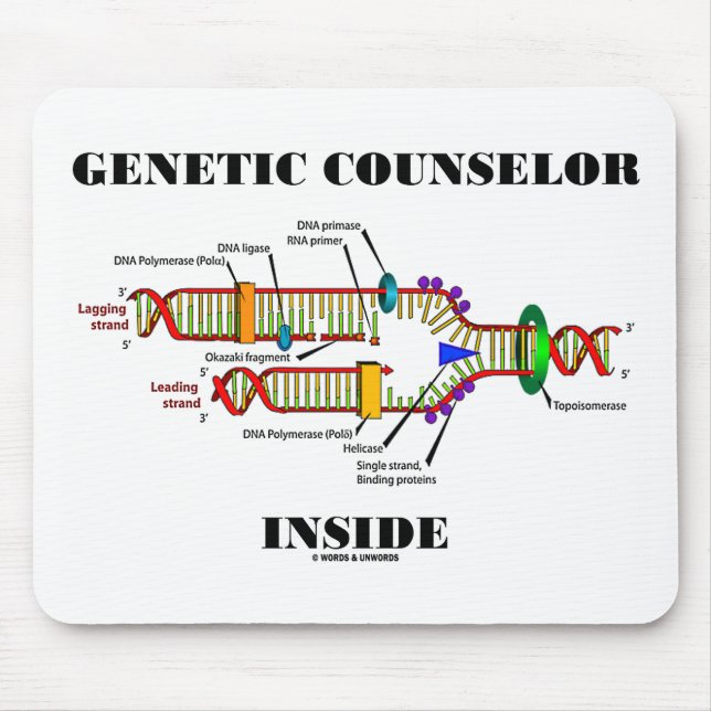 Mousepad Dentro de Conselheiro Genético (Replicação de DNA) (Frente)