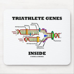 Mousepad Dentro de Genes Triatletas (Replicação de DNA)