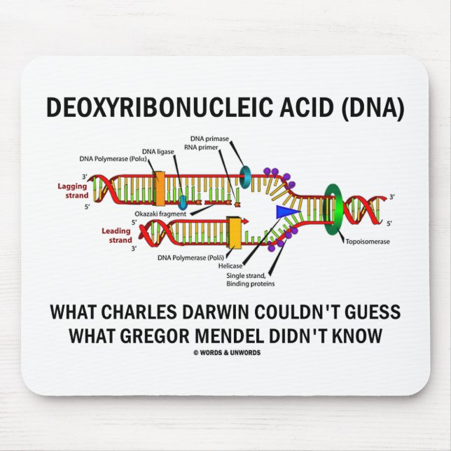 Mousepad Deoxyribonucelic (ADN) Mendel ácido Darwin (Frente)