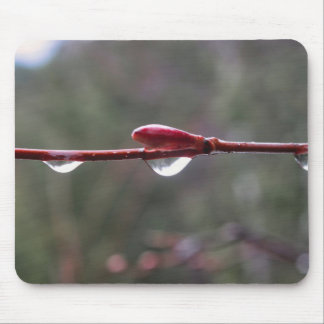 Mousepad Depois da Chuva