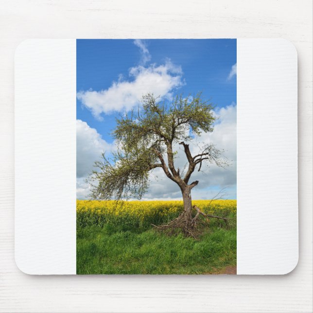 Mousepad Der alte Baum (Frente)