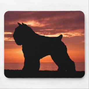 Mousepad DES Flandres de Bouvier