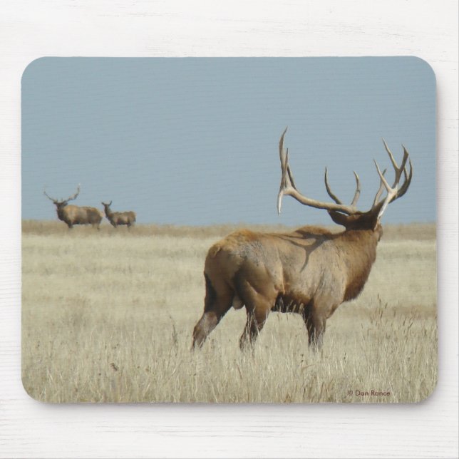 Mousepad Desafiador de Alce Touro E20 (Frente)