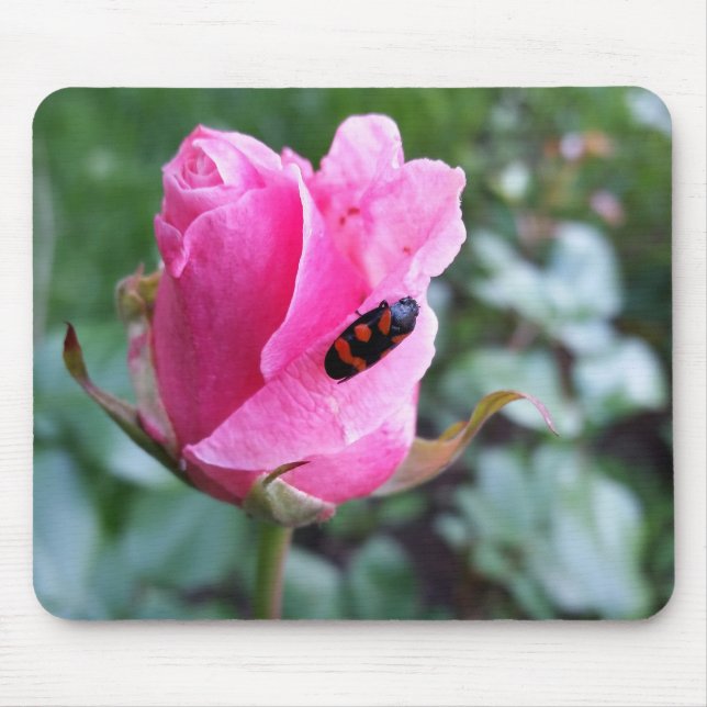 Mousepad descansando em um rosa (Frente)