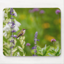 Descanso de passarinho