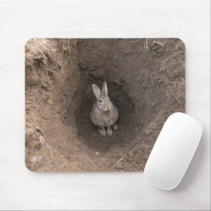 Mousepad Desceu a Toca do Coelho
