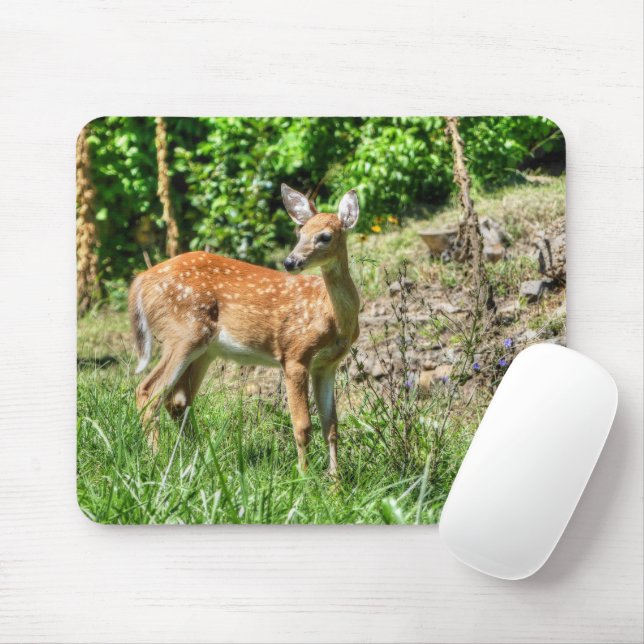 Mousepad Descoberto (Com mouse)
