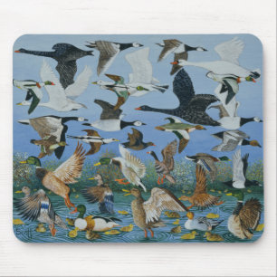 Mousepad Descolando 1996
