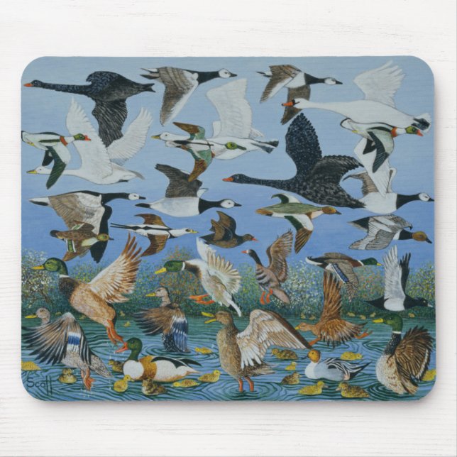 Mousepad Descolando 1996 (Frente)