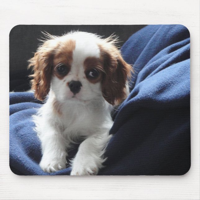 Mousepad descuidado do filhote de cachorro do rei (Frente)