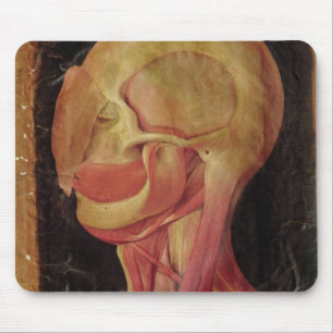 Mousepad Desenho anatômico da cabeça humana