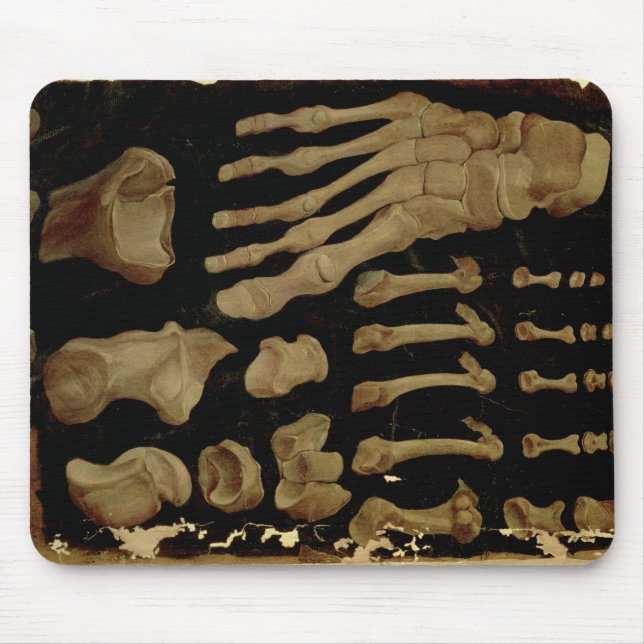 Mousepad Desenho anatômico dos ossos do pé (Frente)