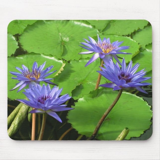 Mousepad Desenho Botânico Floral de Nenúfar Tropical (Frente)