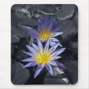 Mousepad Desenho Botânico Floral de Nenúfar Tropical