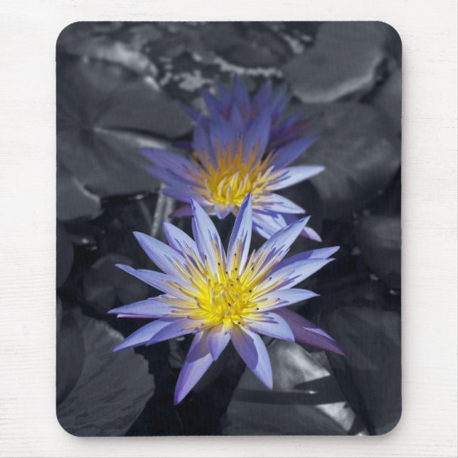 Mousepad Desenho Botânico Floral de Nenúfar Tropical (Frente)