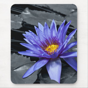 Mousepad Desenho Botânico Floral de Nenúfar Tropical