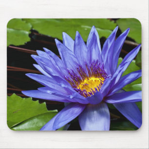 Mousepad Desenho Botânico Floral de Nenúfar Tropical