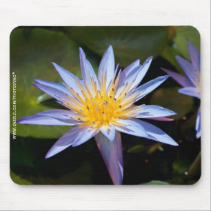 Mousepad Desenho Botânico Floral de Nenúfar Tropical