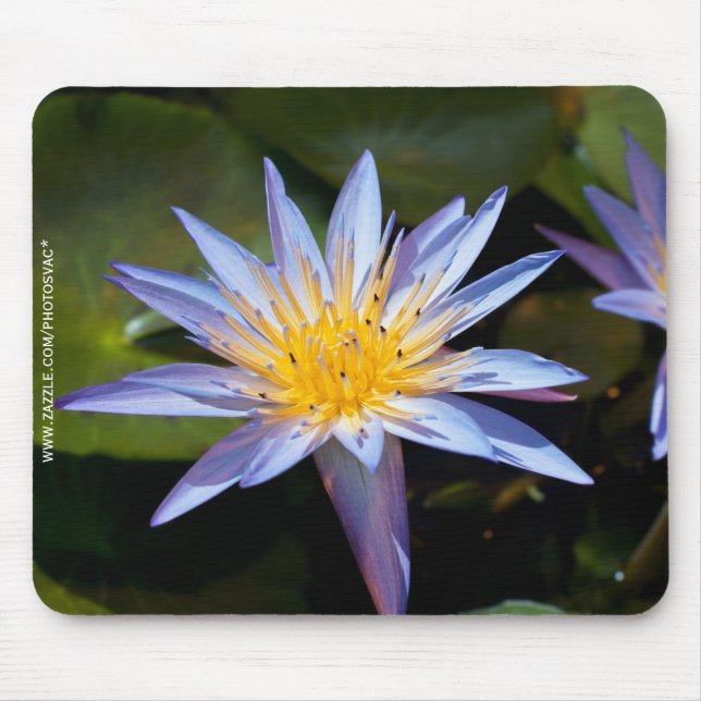 Mousepad Desenho Botânico Floral de Nenúfar Tropical (Frente)