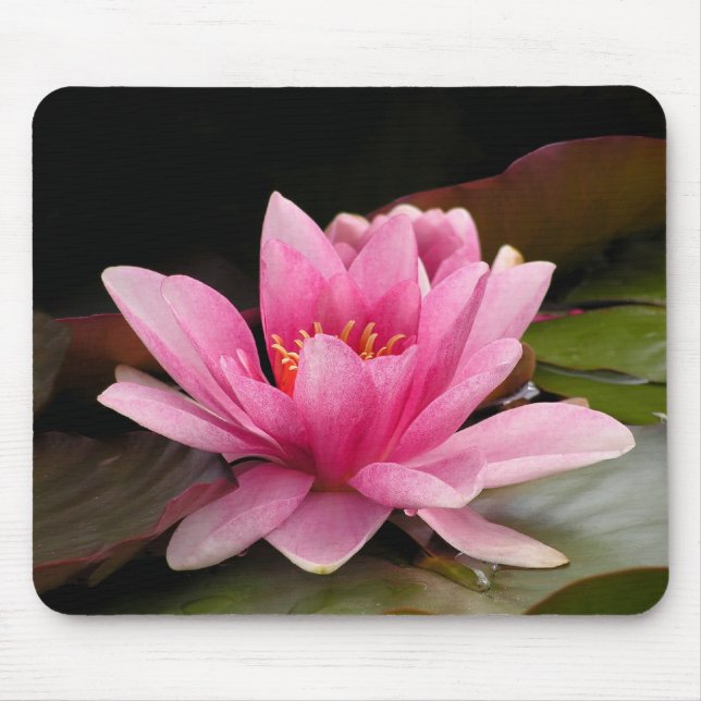 Mousepad Desenho Botânico Floral de Nenúfar Tropical (Frente)