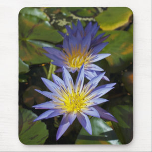 Mousepad Desenho Botânico Floral de Nenúfar Tropical