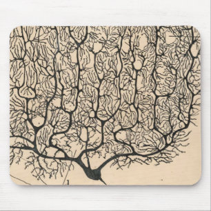 Mousepad Desenho Do Neurônio Por Santiago Ramón Y Cajal
