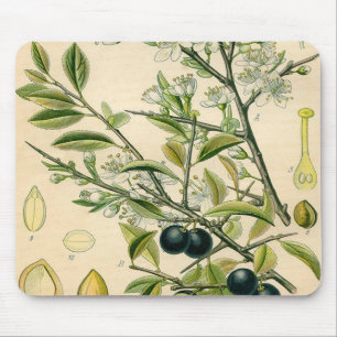 Mousepad Desenho Floral Antiquado De Impressão Botânico