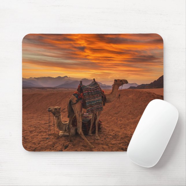Mousepad Desertos | Bactrian Camel Egypt Sand Dune (Com mouse)