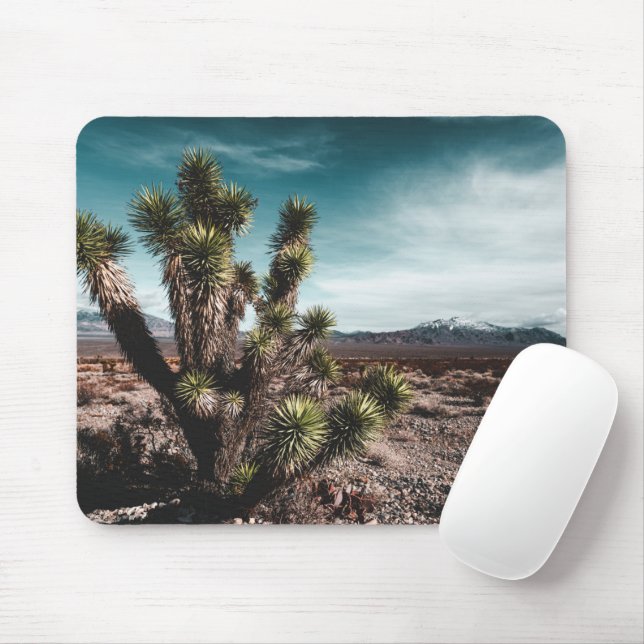 Mousepad Desertos | Cholla Cactus (Com mouse)