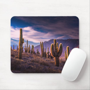 Mousepad Desertos Paisagem Cactus Argentina