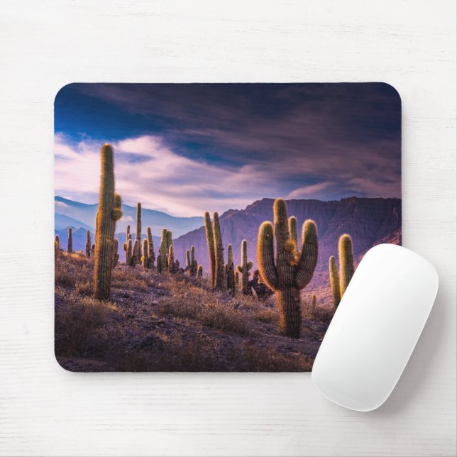 Mousepad Desertos | Paisagem Cactus Argentina (Com mouse)