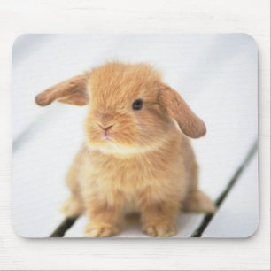 Mousepad Design bonito do felz pascoa do coelho do bebê