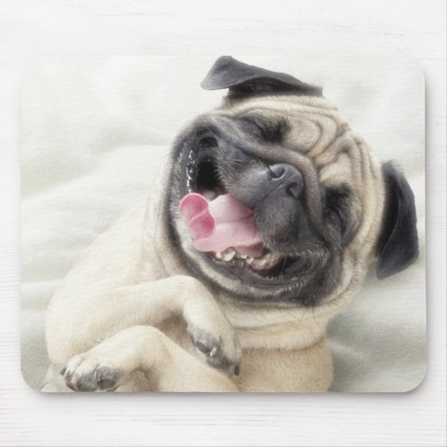 Mousepad Design de riso adorável do Pug (Frente)