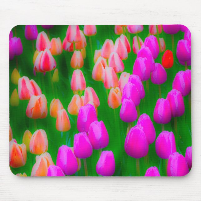 Mousepad Design floral de tulipas cor-de-rosa e laranja (Frente)