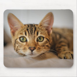 Mousepad Design - Gatinho Gato