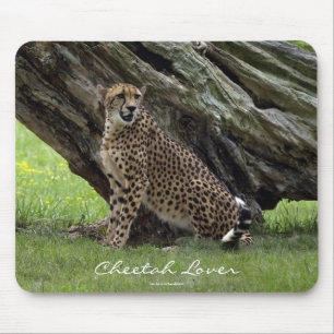 Mousepad Design para amantes de animais de gatos grandes se