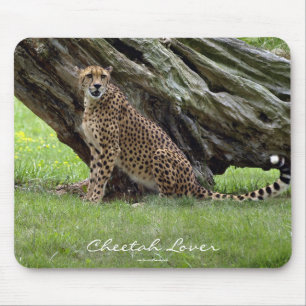 Mousepad Design para amantes de animais de gatos grandes se