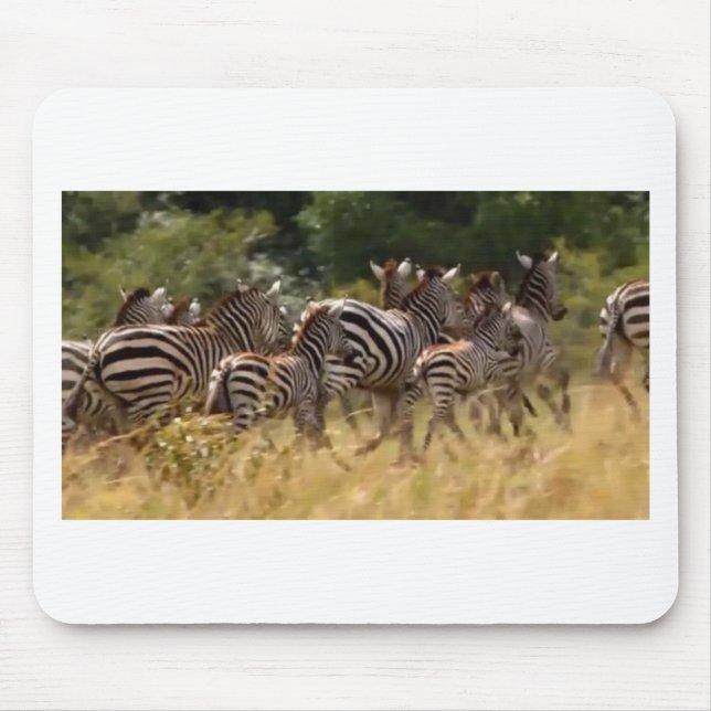 Mousepad Design Sua própria Bela Migração de zebra Mara (Frente)