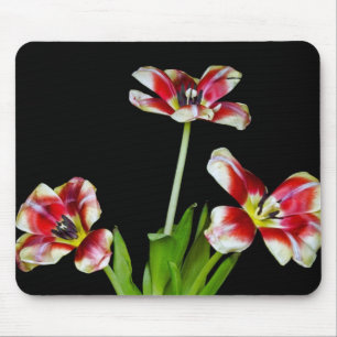 Mousepad Deslizado