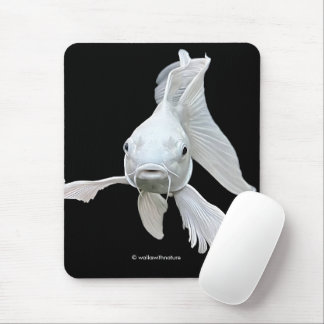 Mousepad Deslumbrante Peixe Koi Carp Borboleta Platina