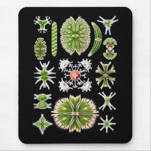 Mousepad Desmids