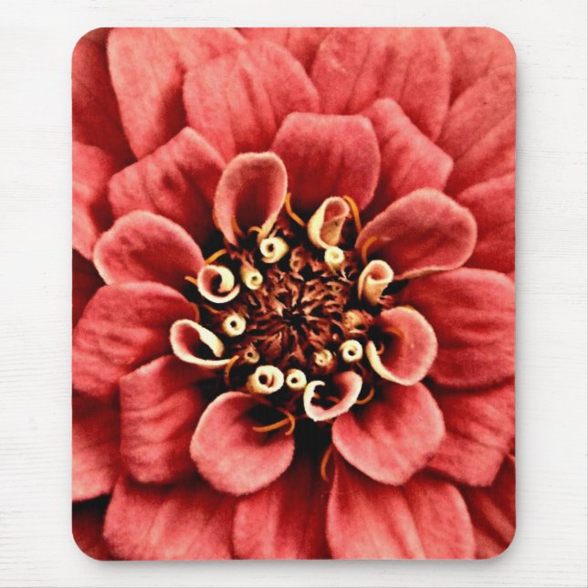 Mousepad detalhe rosa da zinnia é alegre mas não muito bril (Frente)