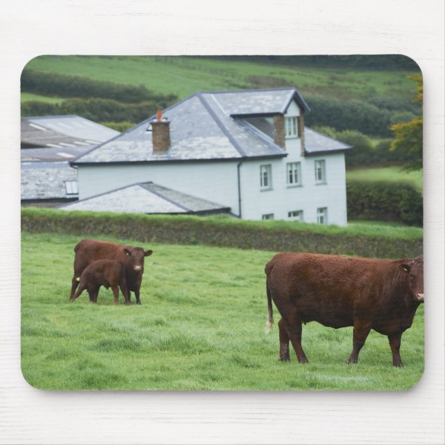 Mousepad Devon, Inglaterra (Frente)