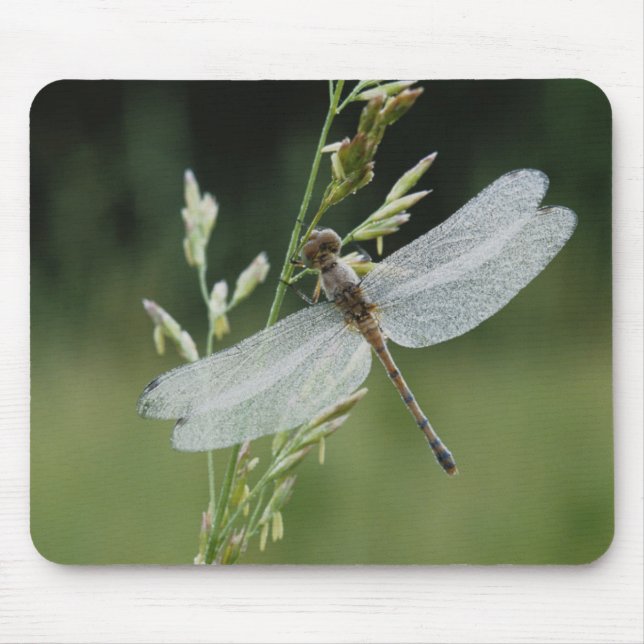 Mousepad Dew cobriu Darner Dragonfly (Frente)
