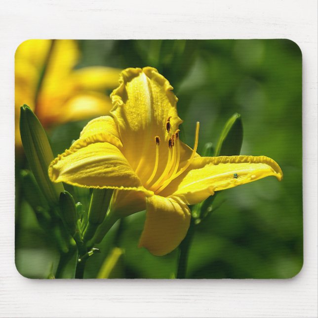 Mousepad Dia de Verão (Frente)