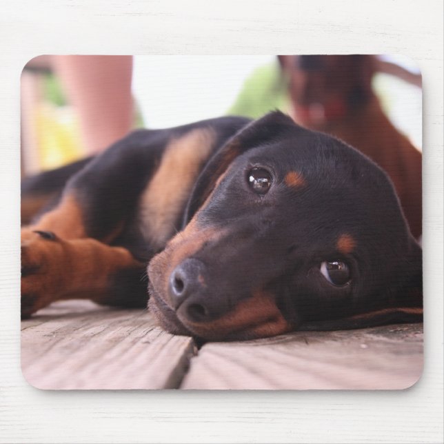 Mousepad Dia de verão preguiçoso (Frente)